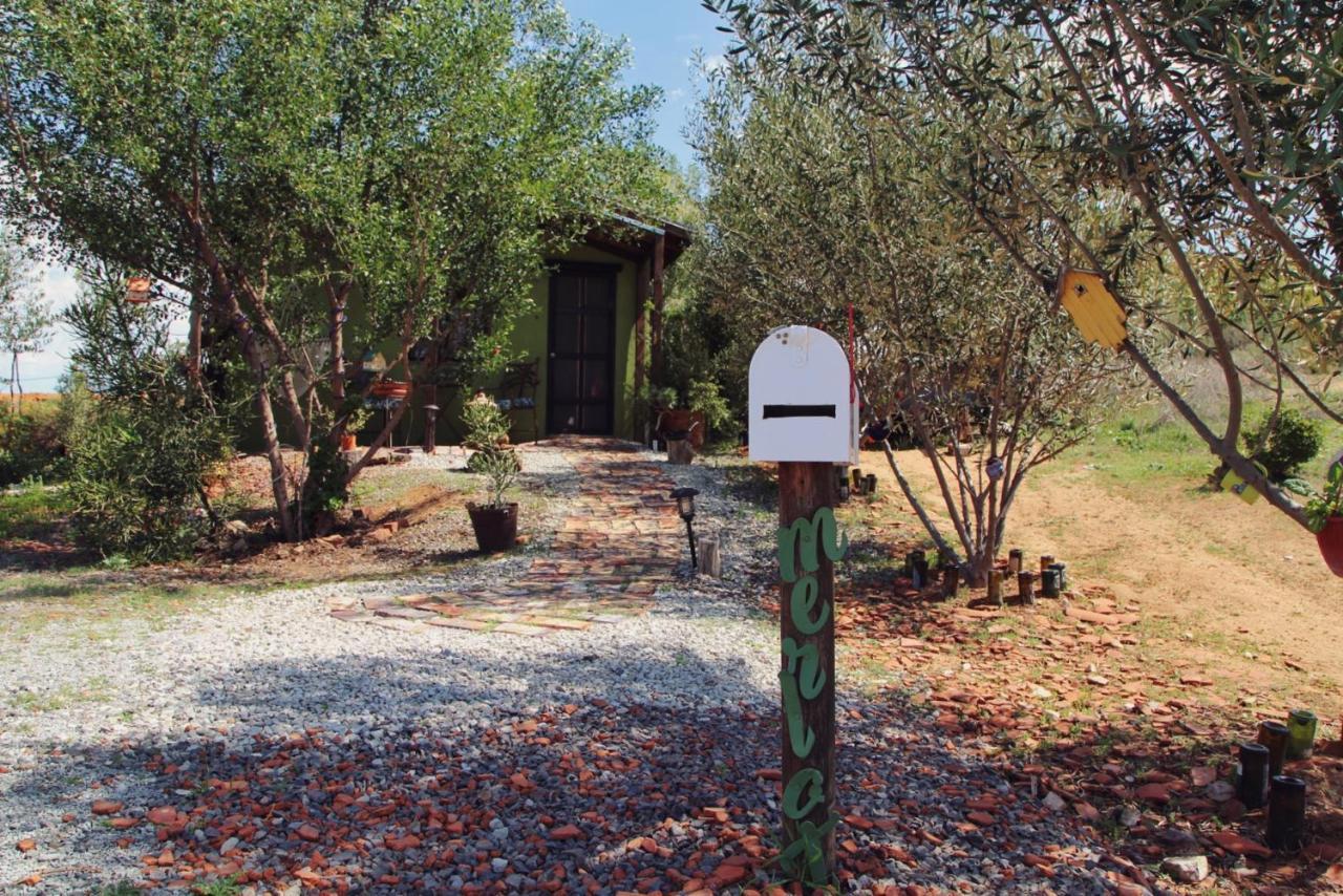 San Antonio * Valle de Guadalupe