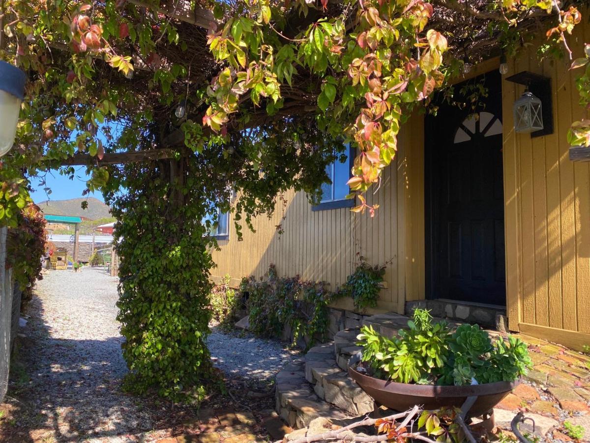 San Antonio Holiday home Valle de Guadalupe